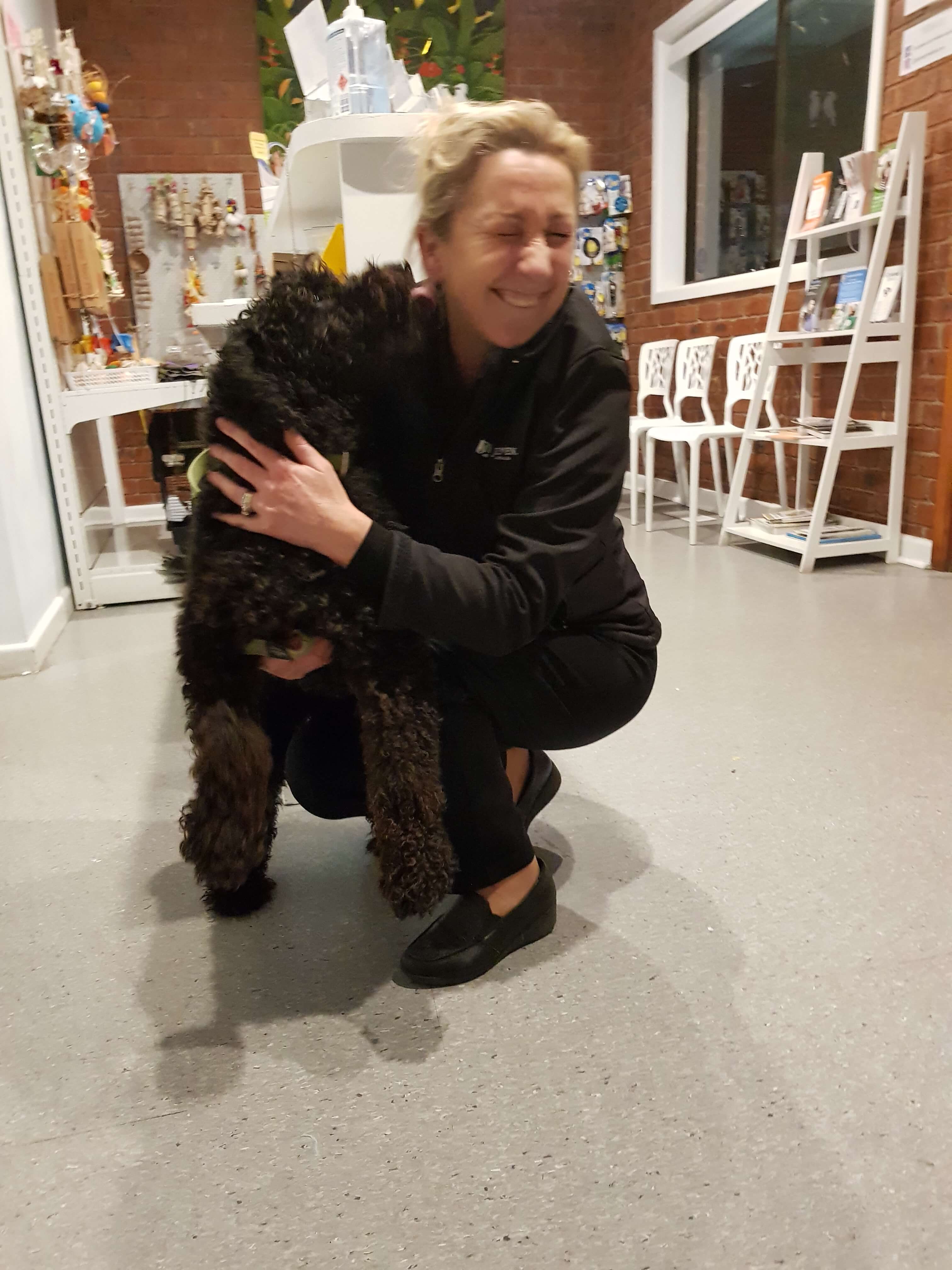 Melbourne Dog dentist, treating dental patients in the community for 28 years 