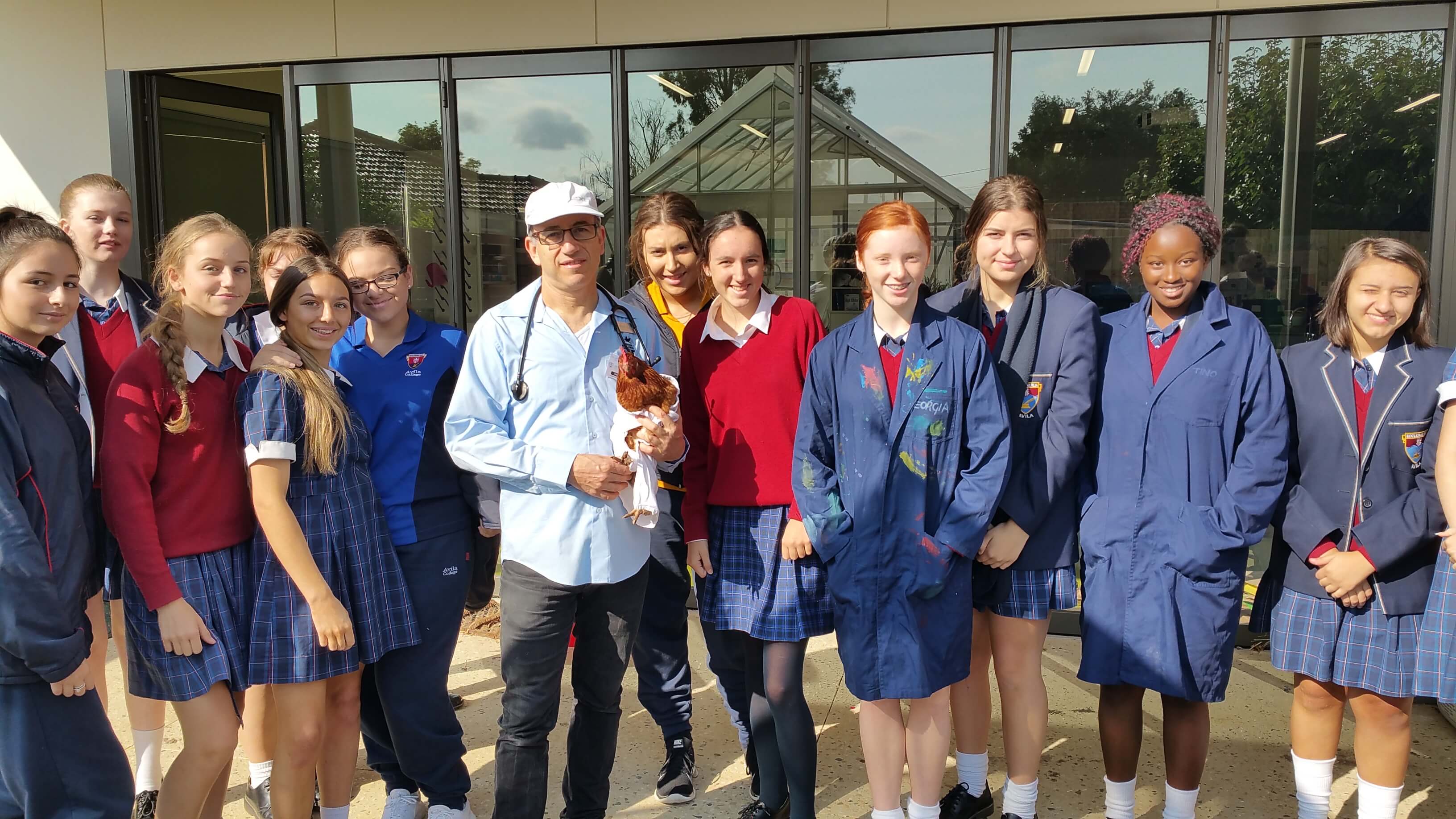 Melbourne chicken veterinarain