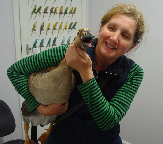 Duck vet visit