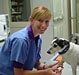 Dog veterinarian in Burwood