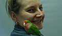 Lovebird patient