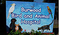 Bird Vet Melbourne clinic sign