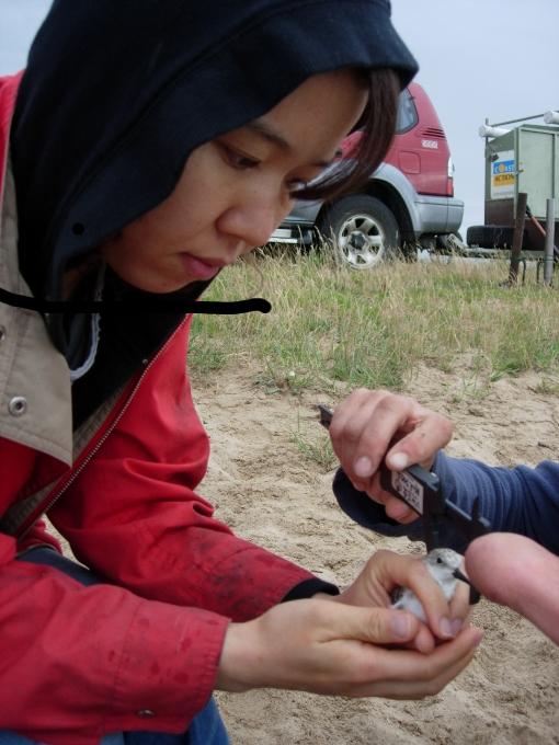 Bird vet Melbourne - treating native wild  life 